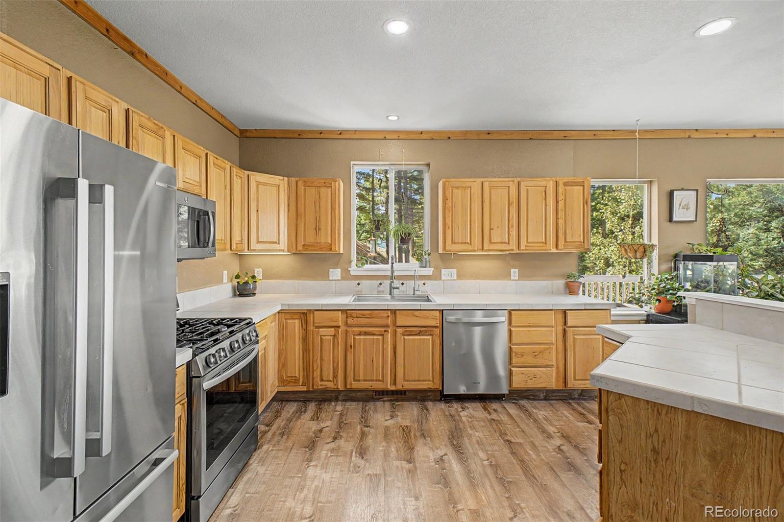 MLS Image #12 for 2639  elk park road,larkspur, Colorado