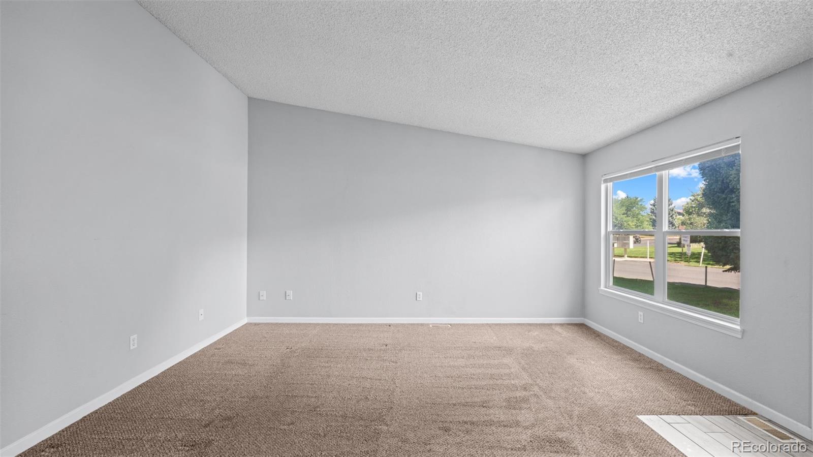 MLS Image #8 for 1367  firefly circle ,colorado springs, Colorado