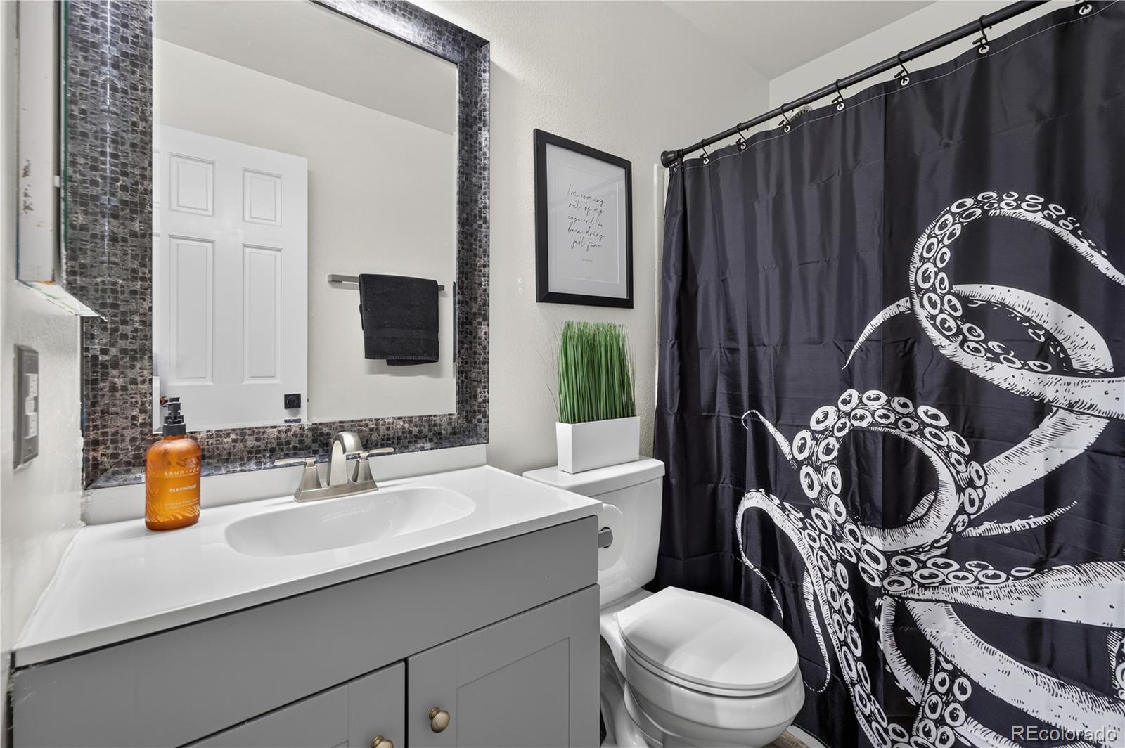 MLS Image #24 for 11317  vernon way,parker, Colorado