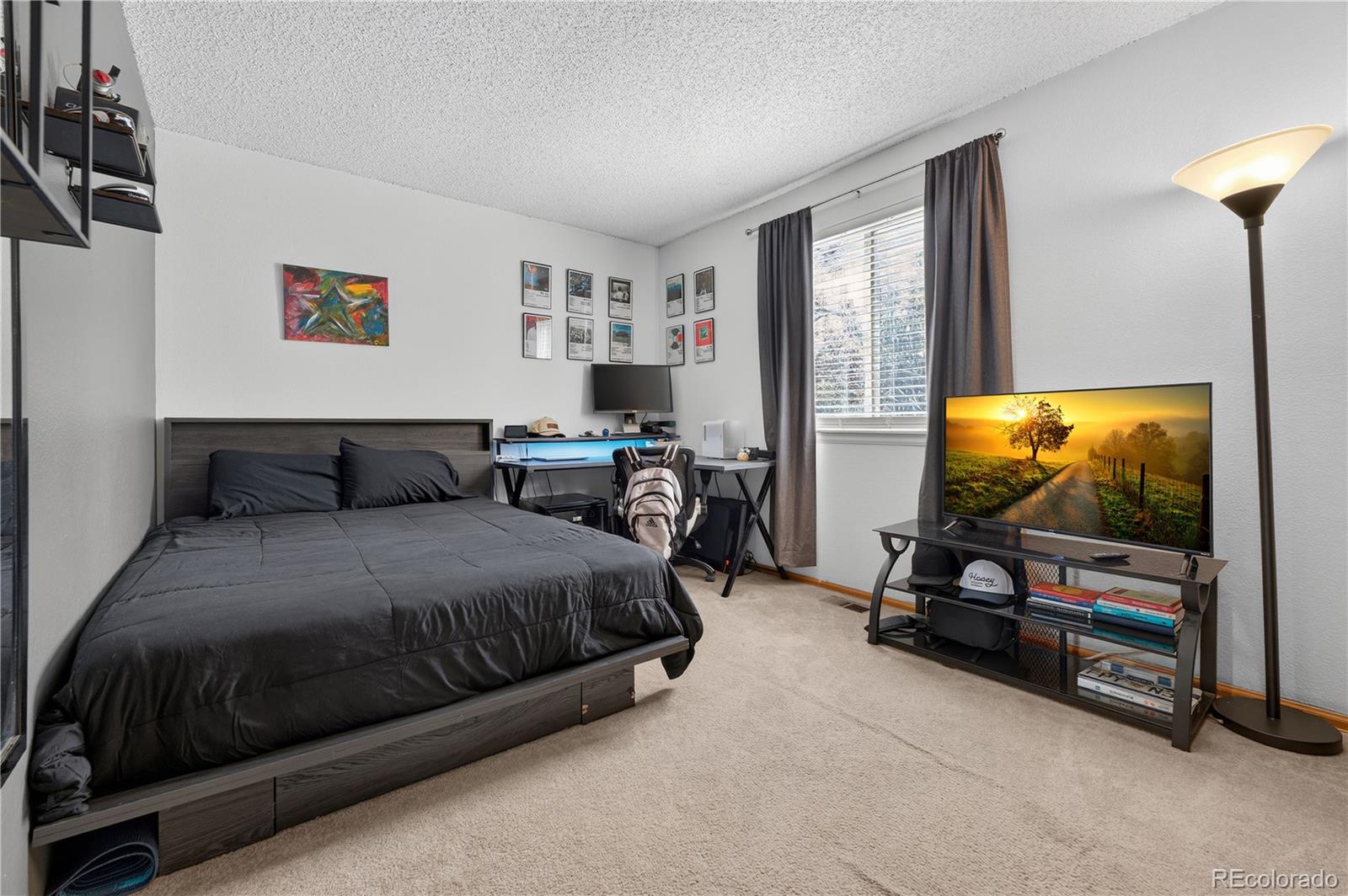 MLS Image #25 for 11317  vernon way,parker, Colorado