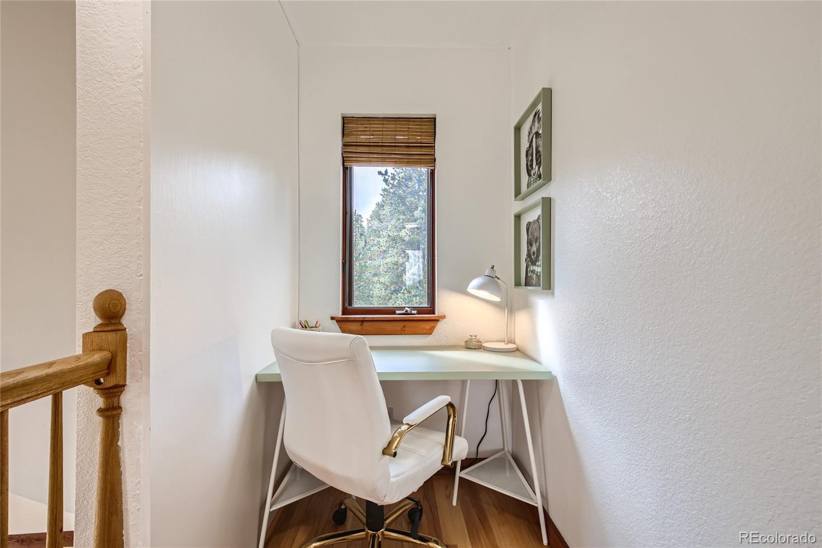MLS Image #19 for 133  linn lane,golden, Colorado