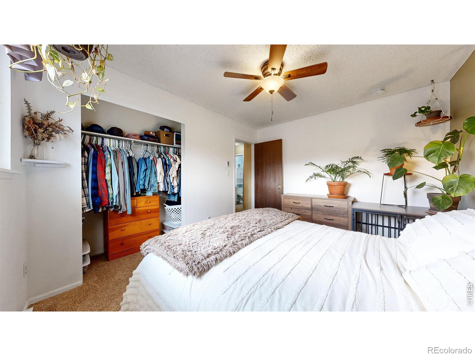MLS Image #13 for 2833  buckboard court,fort collins, Colorado