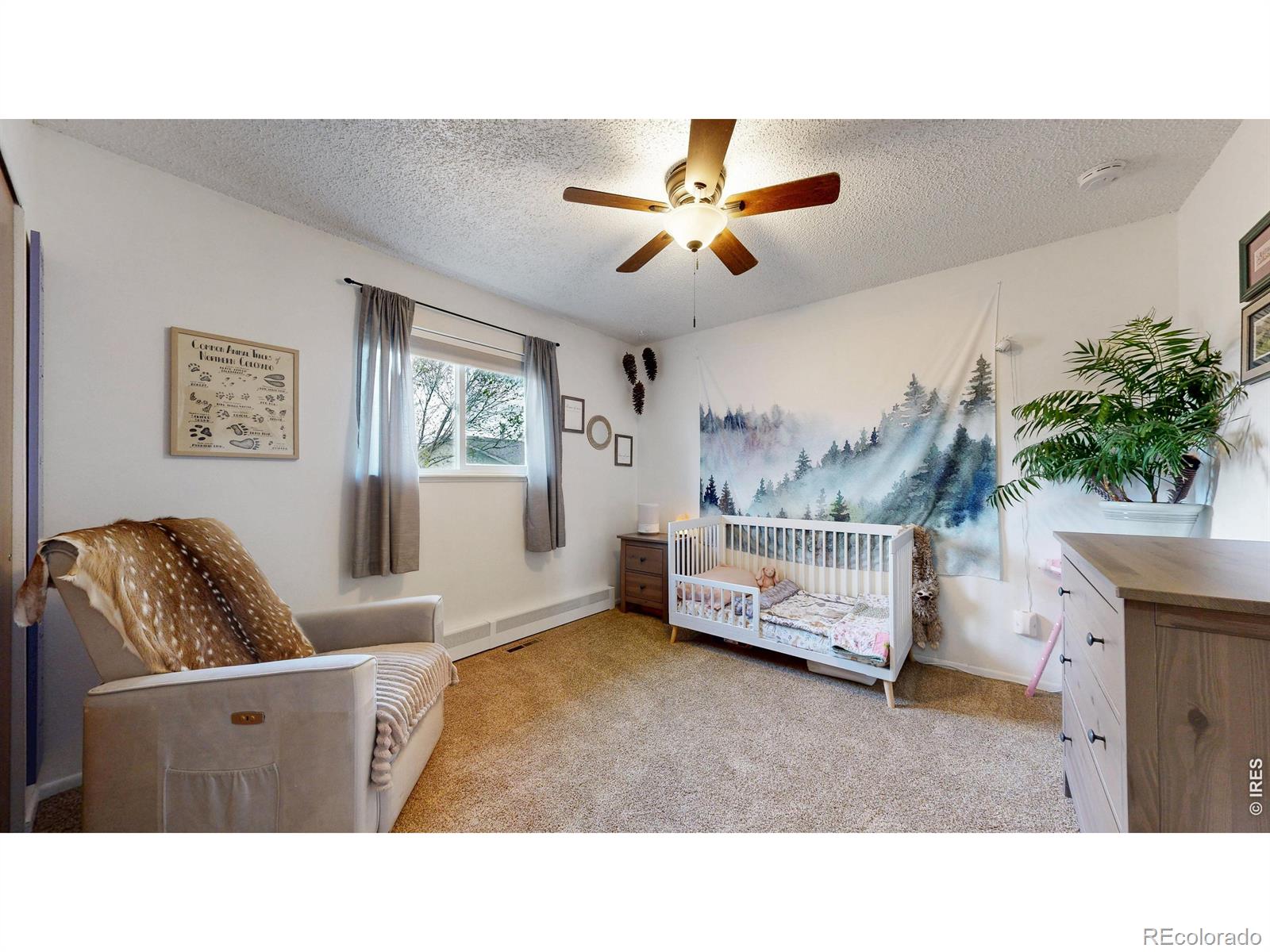MLS Image #14 for 2833  buckboard court,fort collins, Colorado