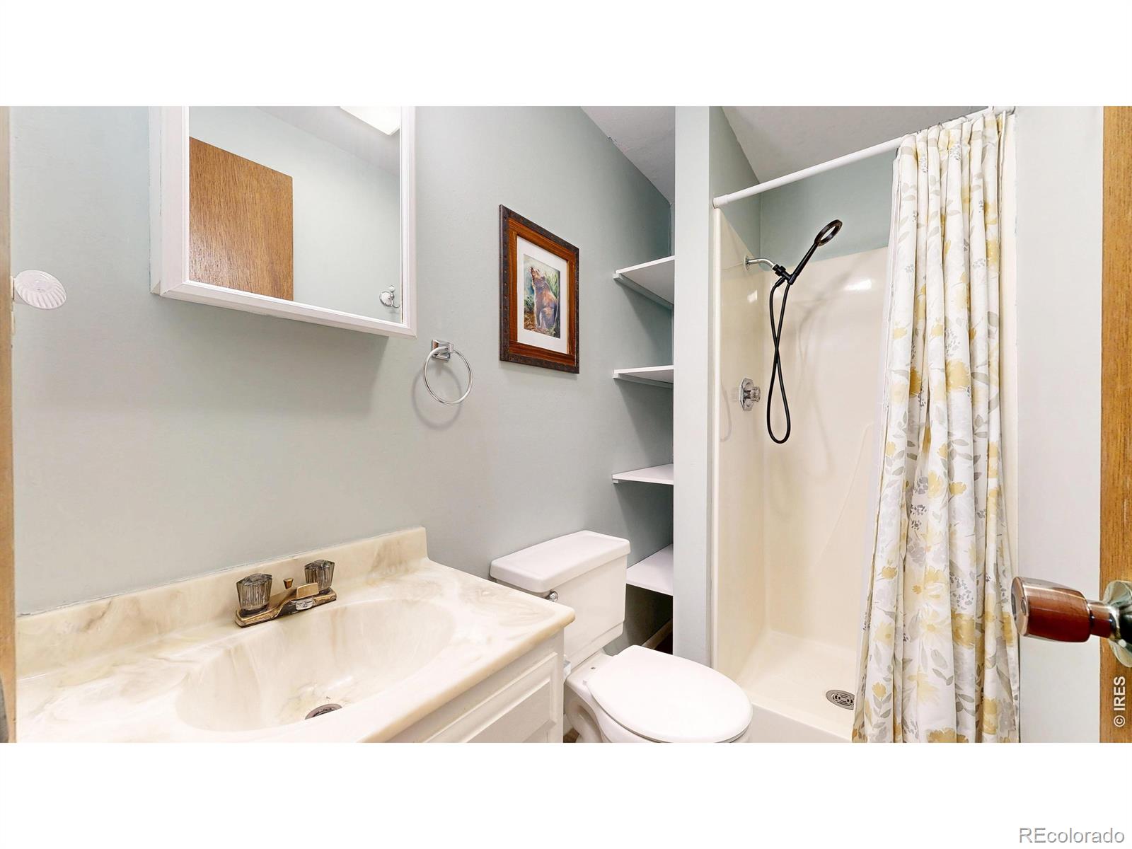 MLS Image #23 for 2833  buckboard court,fort collins, Colorado