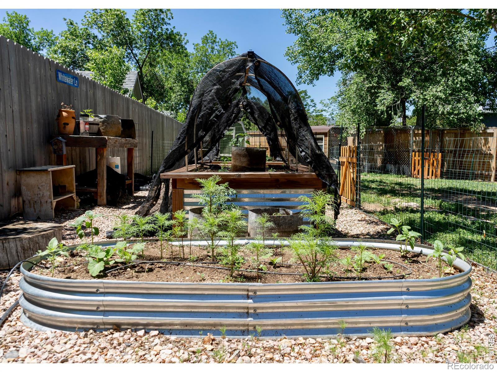 MLS Image #31 for 2833  buckboard court,fort collins, Colorado