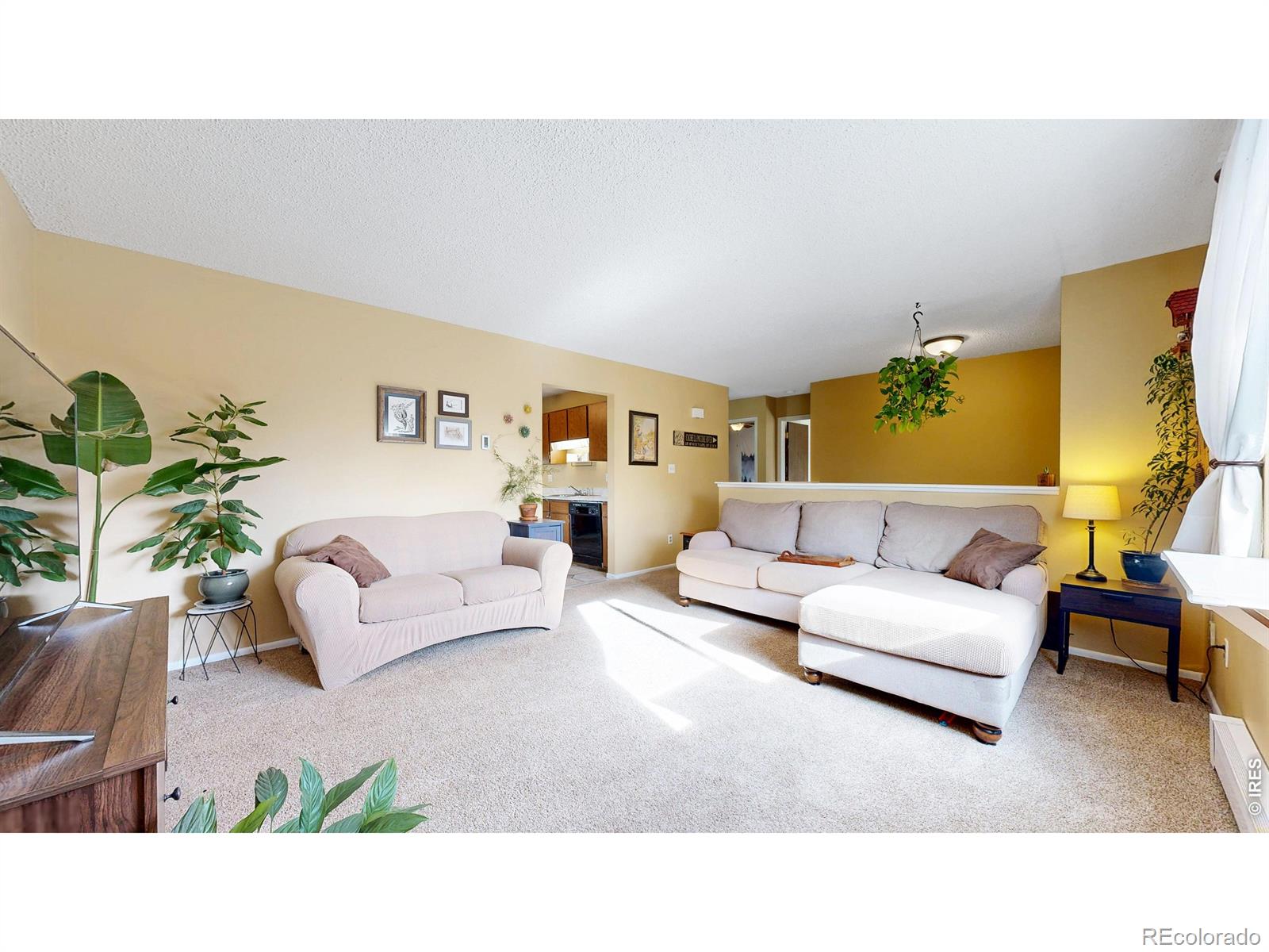 MLS Image #6 for 2833  buckboard court,fort collins, Colorado