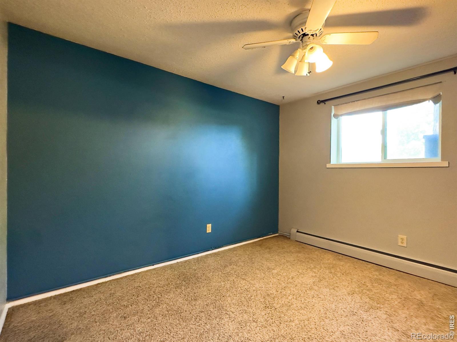 MLS Image #18 for 1205  sycamore drive,loveland, Colorado