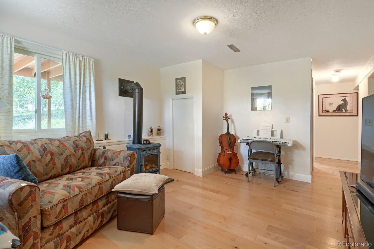 MLS Image #11 for 16  mesa court,bailey, Colorado