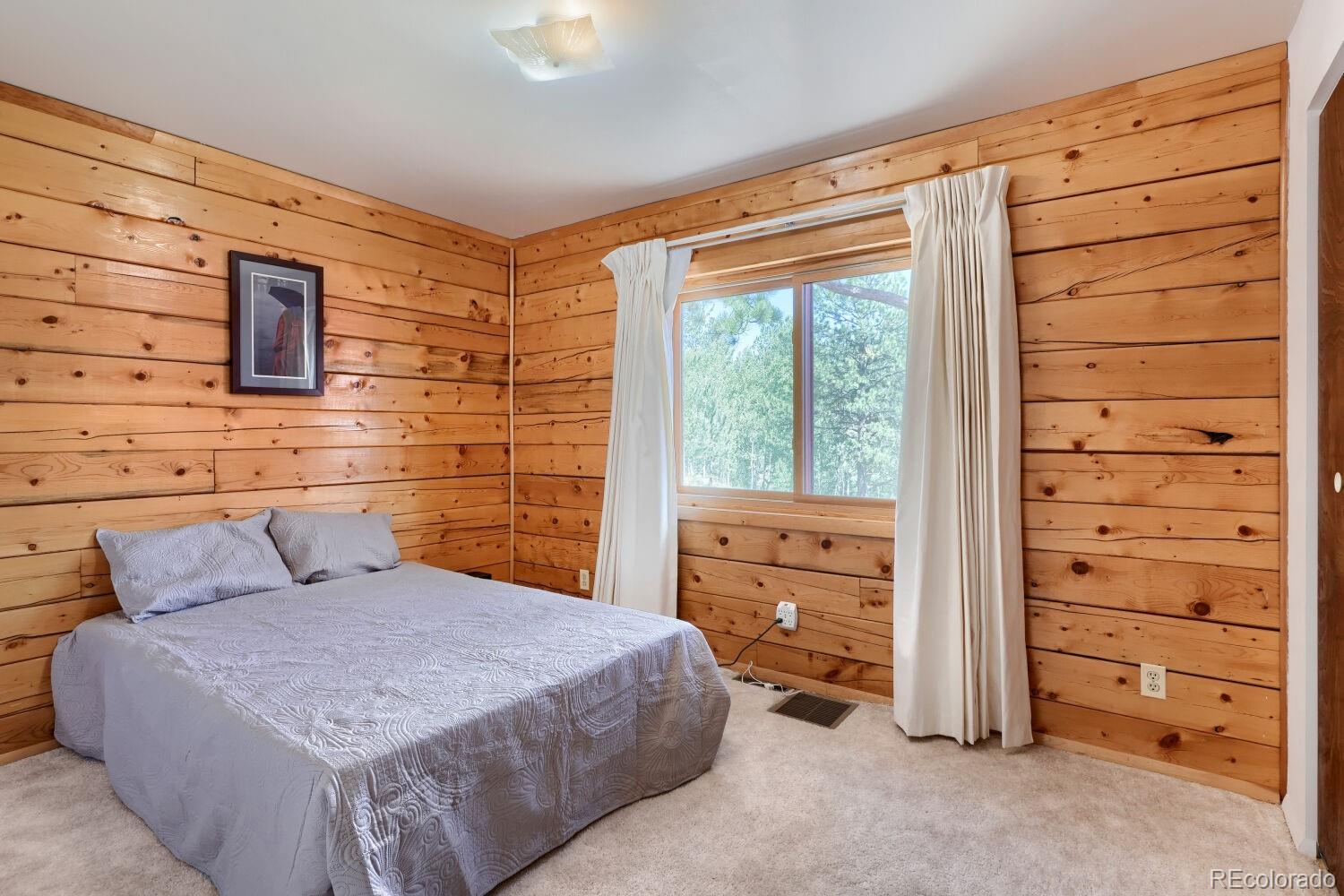MLS Image #12 for 16  mesa court,bailey, Colorado