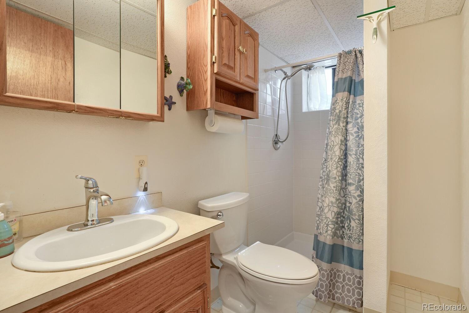 MLS Image #13 for 16  mesa court,bailey, Colorado