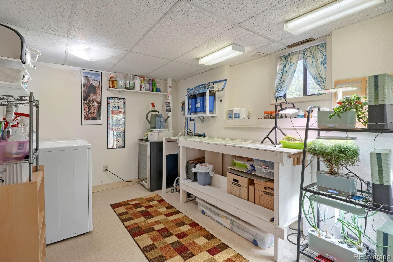 MLS Image #14 for 16  mesa court,bailey, Colorado