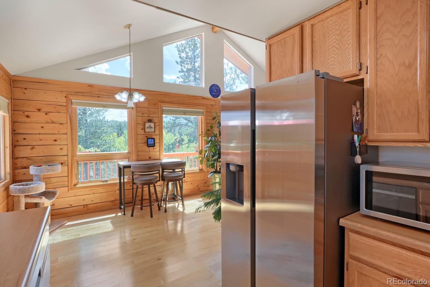 MLS Image #20 for 16  mesa court,bailey, Colorado
