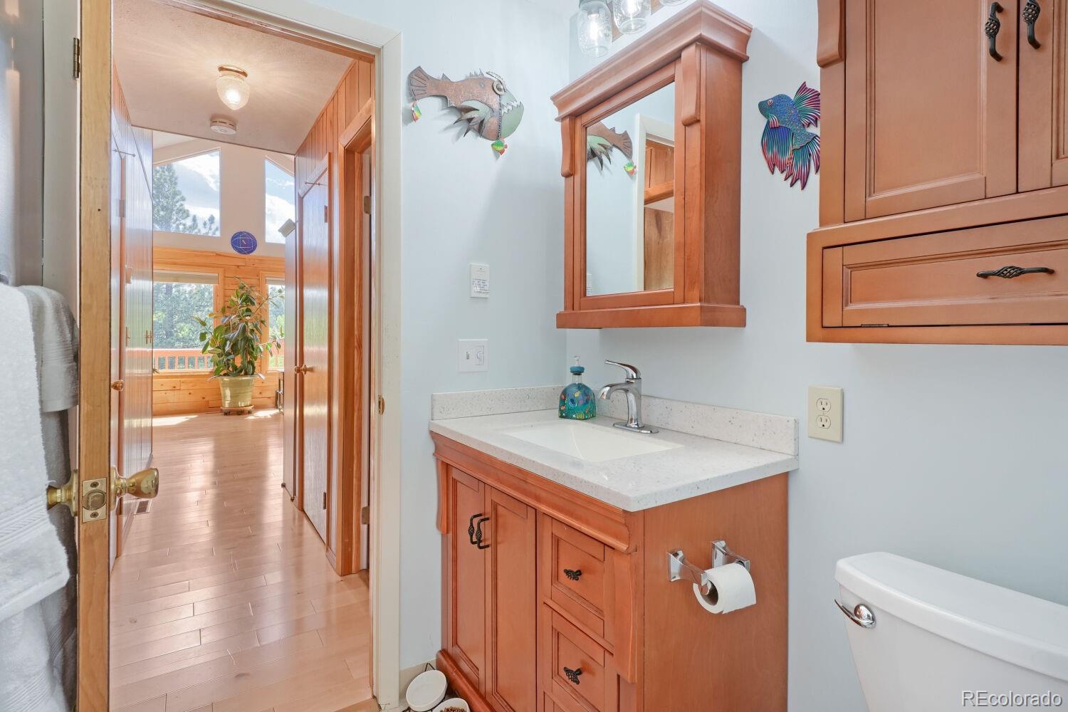 MLS Image #22 for 16  mesa court,bailey, Colorado