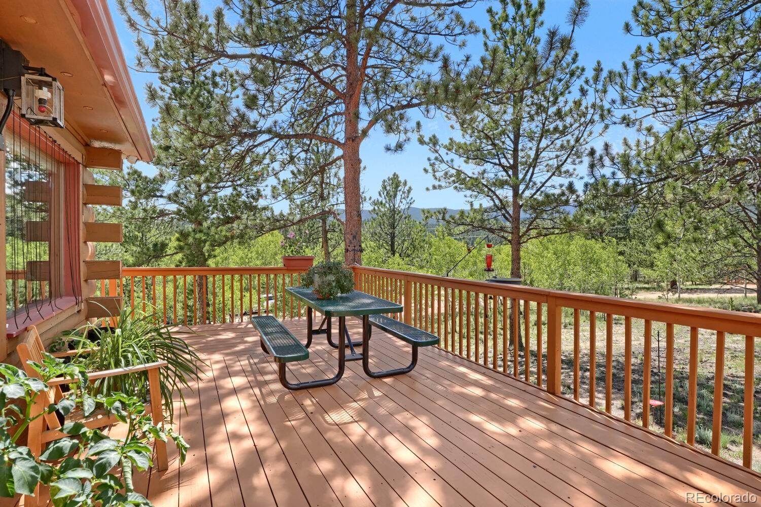 MLS Image #23 for 16  mesa court,bailey, Colorado