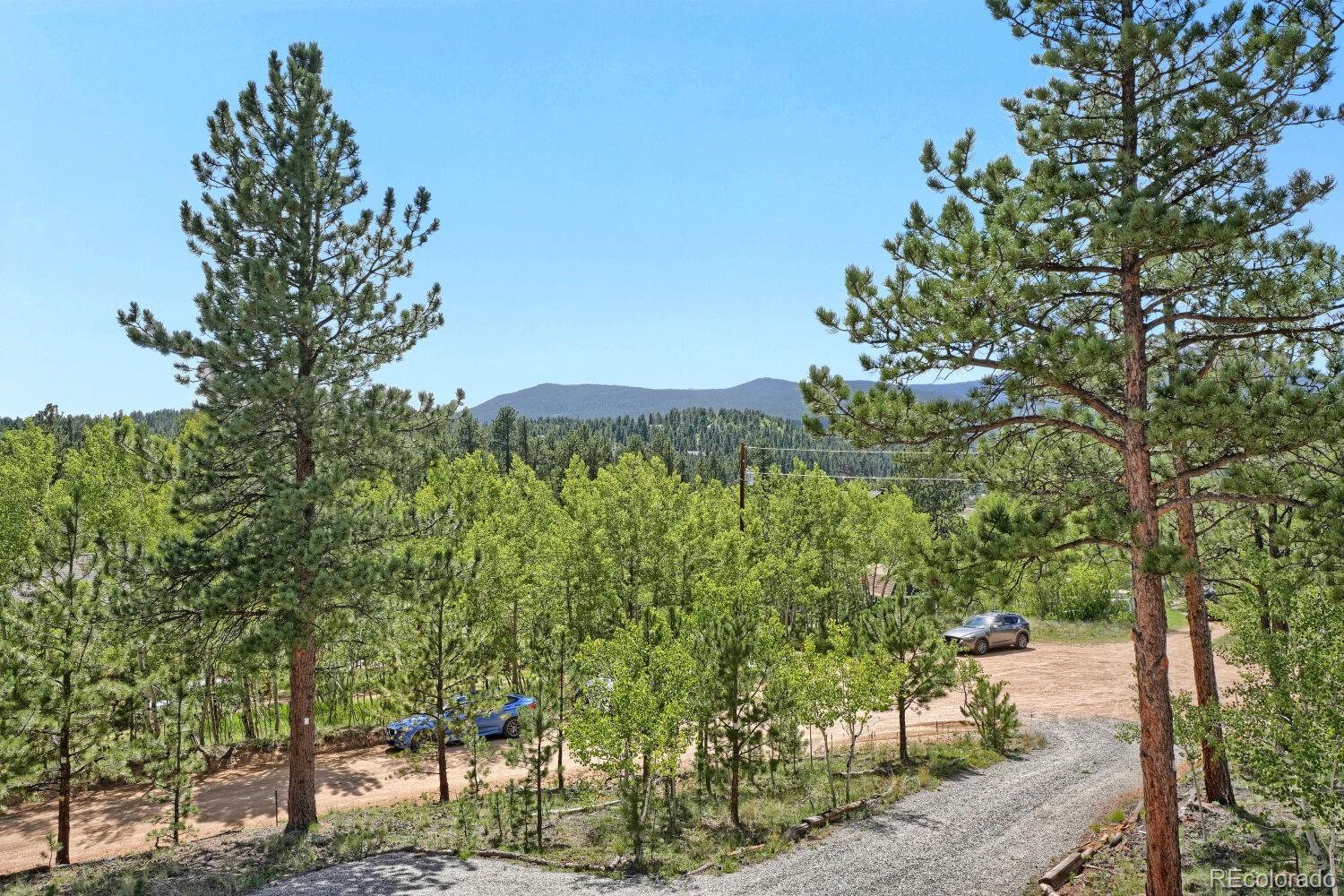 MLS Image #25 for 16  mesa court,bailey, Colorado