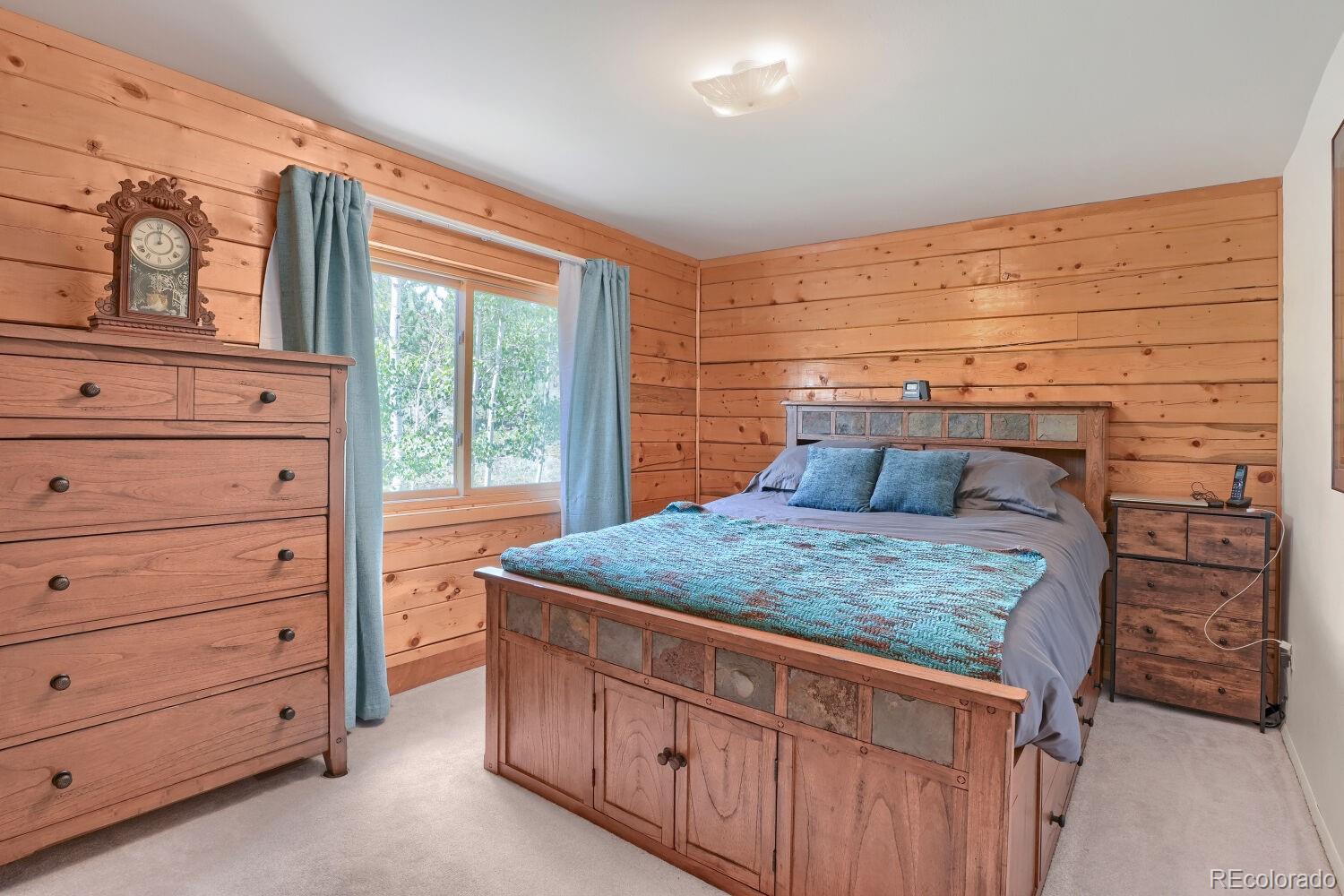 MLS Image #6 for 16  mesa court,bailey, Colorado