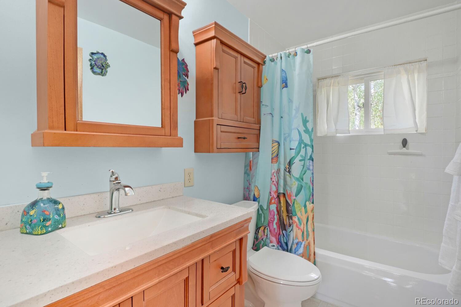 MLS Image #9 for 16  mesa court,bailey, Colorado