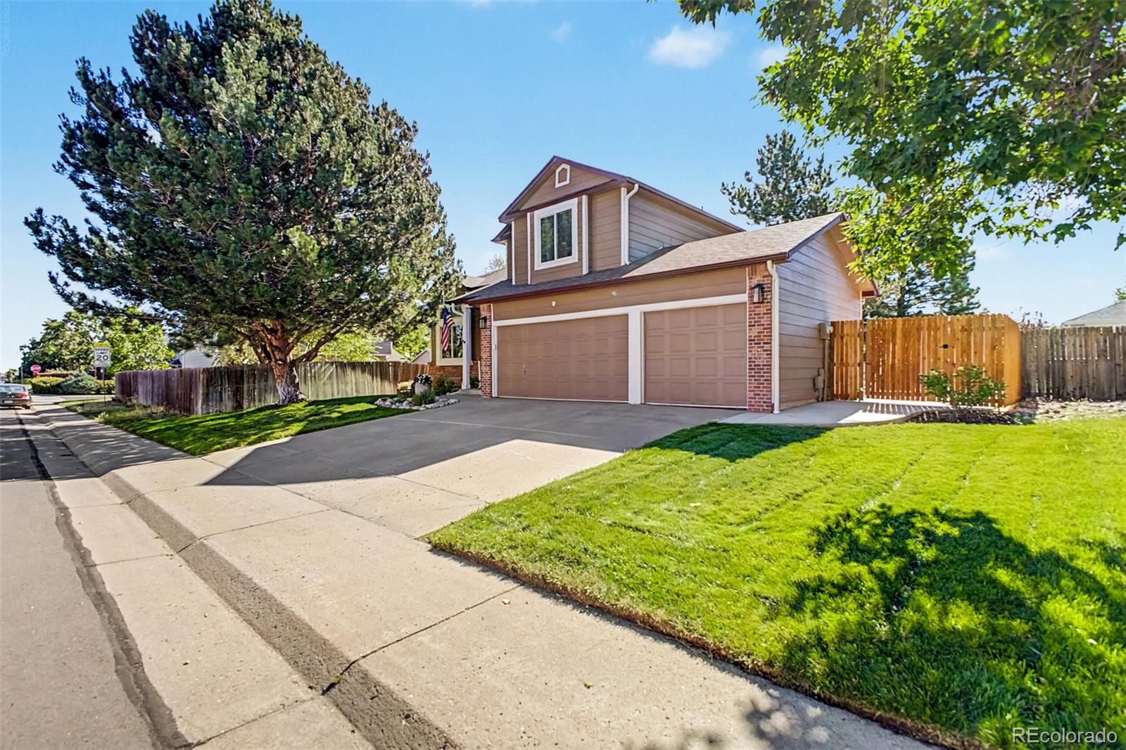 MLS Image #3 for 22  heritage avenue,castle rock, Colorado