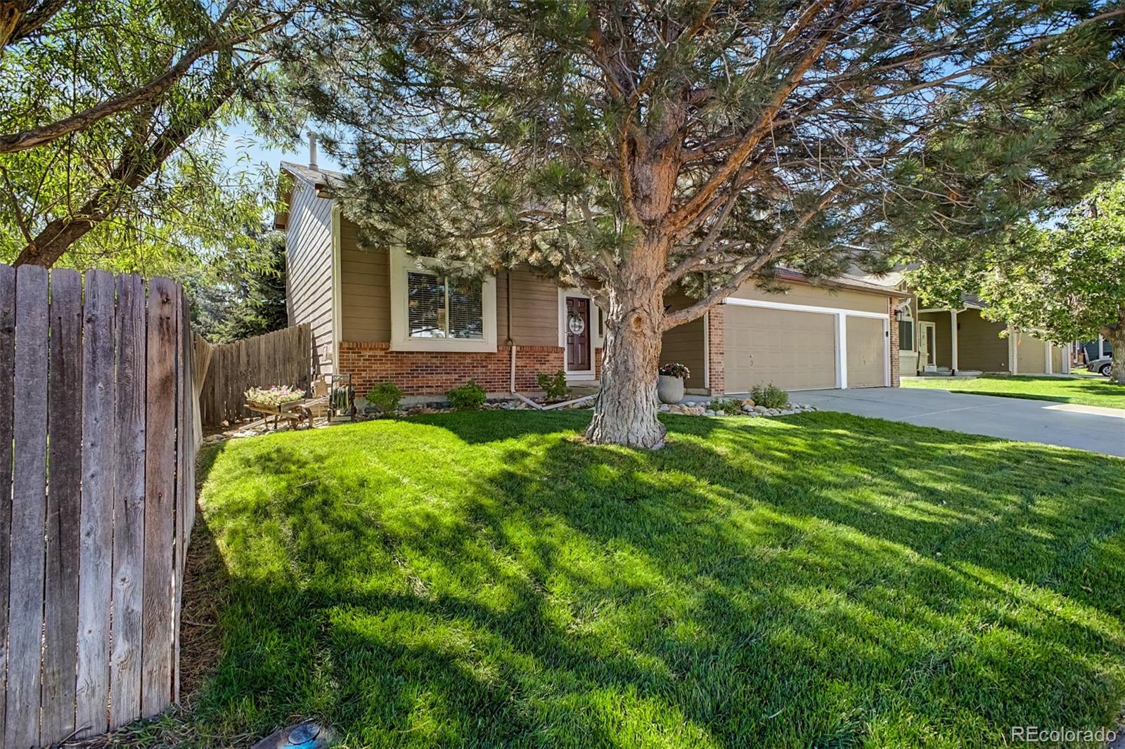 MLS Image #4 for 22  heritage avenue,castle rock, Colorado