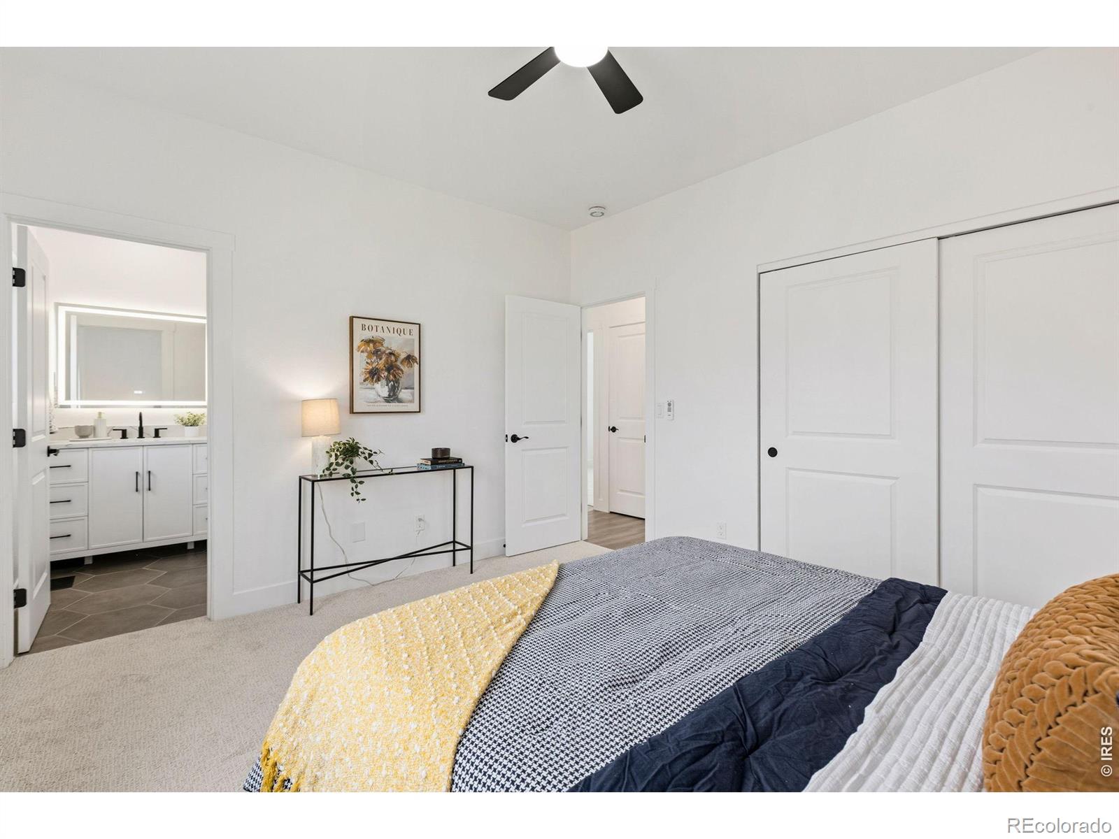 MLS Image #11 for 30  locust street,windsor, Colorado