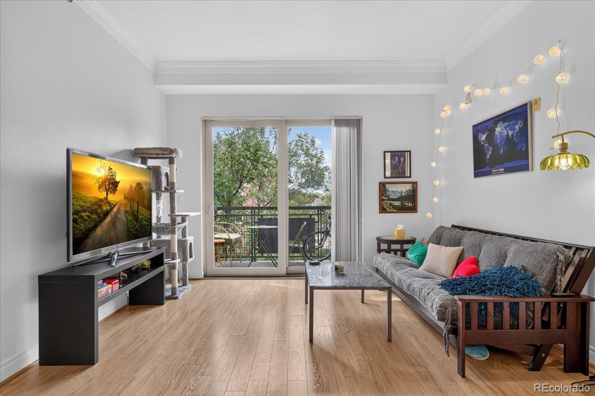 MLS Image #10 for 1700 n emerson street,denver, Colorado