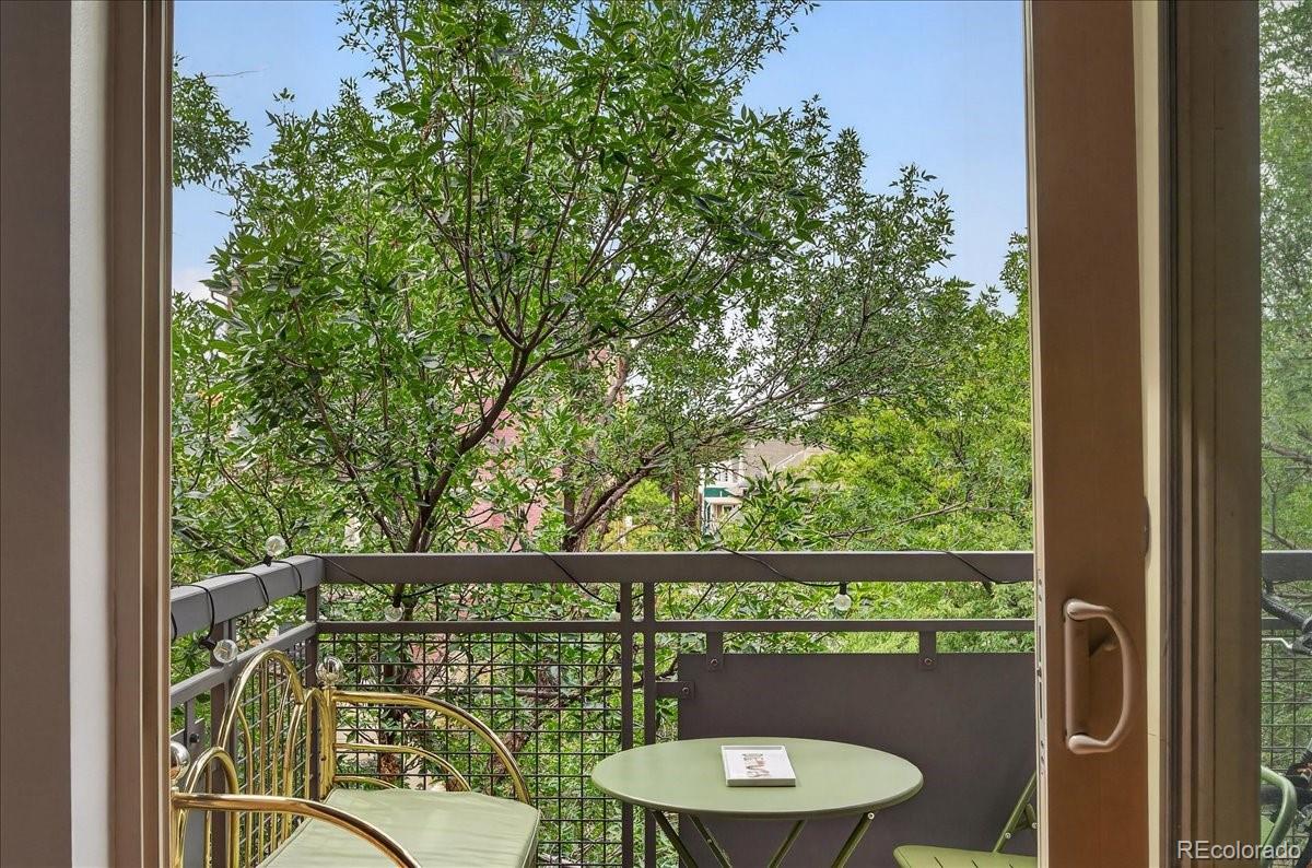 MLS Image #12 for 1700 n emerson street,denver, Colorado