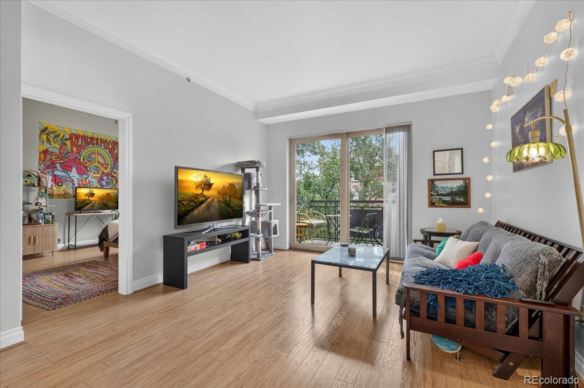 MLS Image #9 for 1700 n emerson street,denver, Colorado