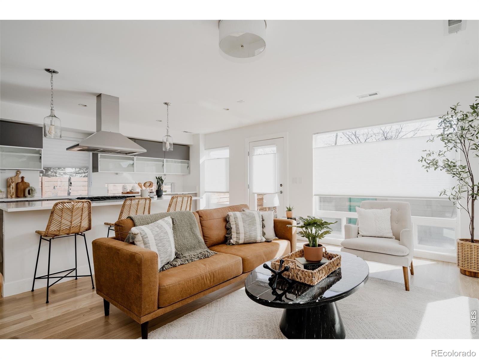 MLS Image #4 for 3724  quivas street,denver, Colorado