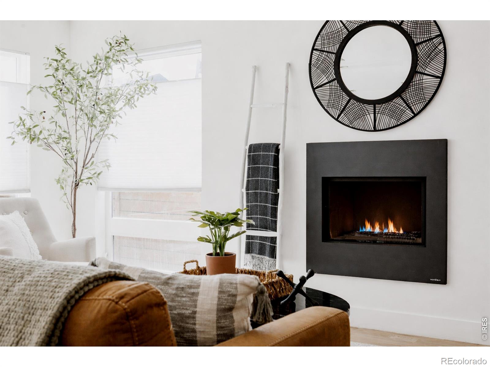 MLS Image #8 for 3724  quivas street,denver, Colorado