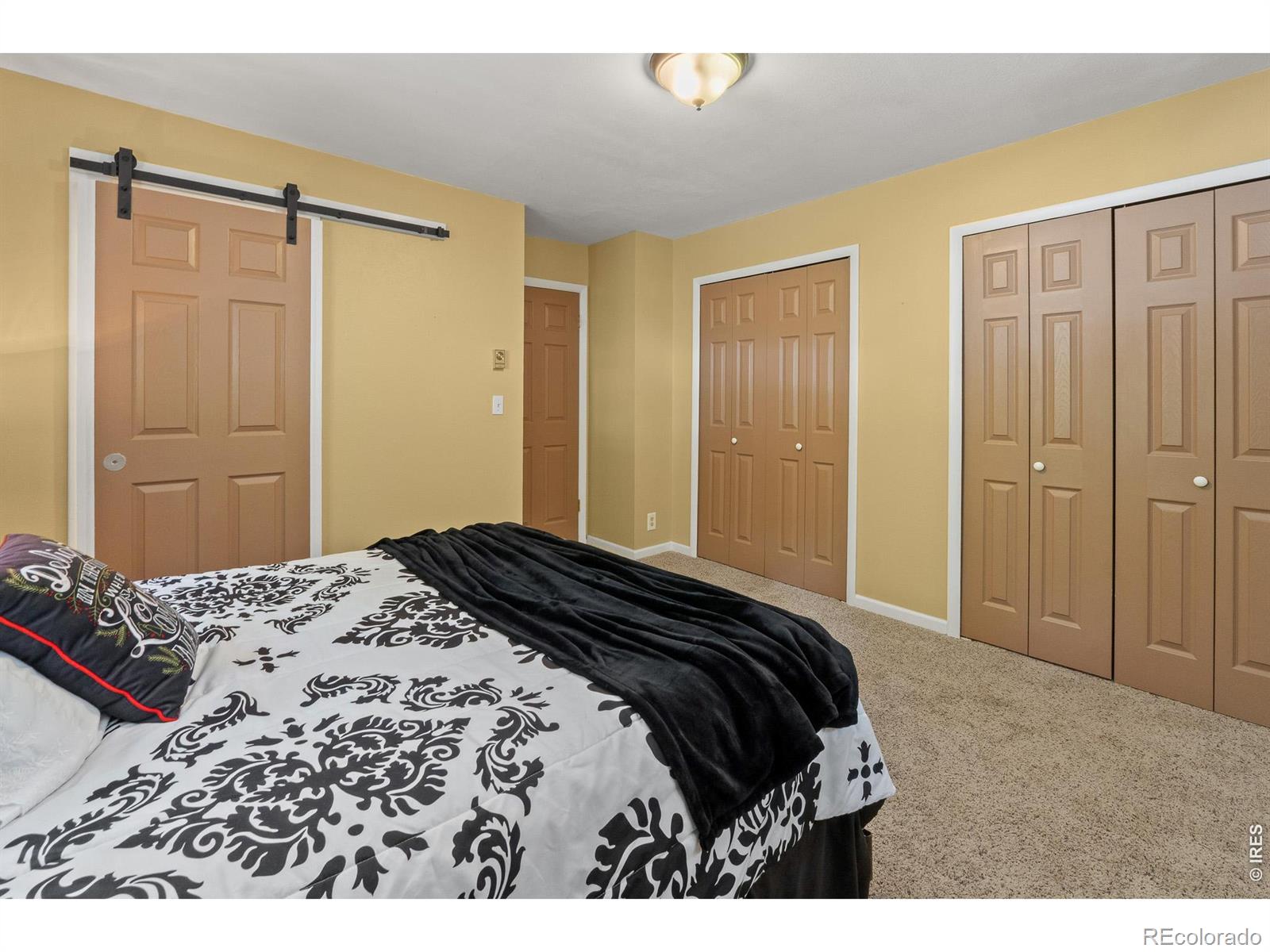 MLS Image #10 for 218  brook drive,idaho springs, Colorado
