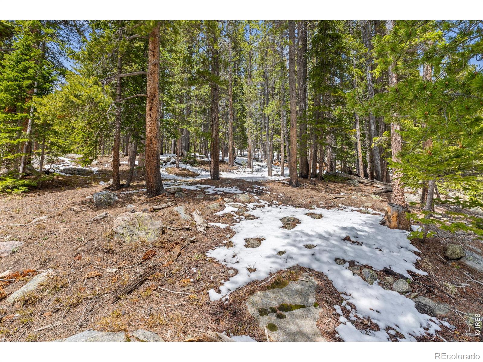 MLS Image #15 for 218  brook drive,idaho springs, Colorado