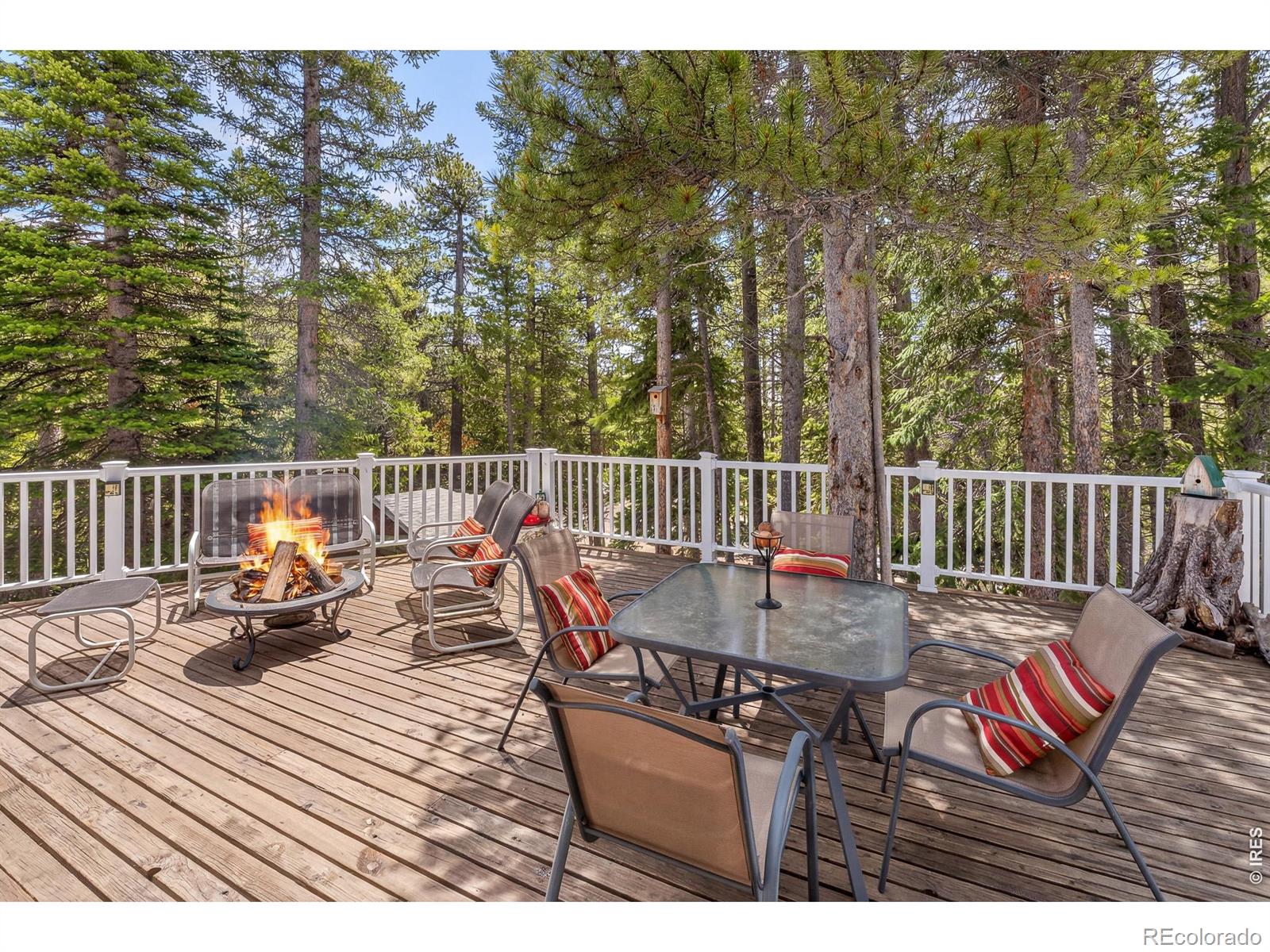 MLS Image #2 for 218  brook drive,idaho springs, Colorado