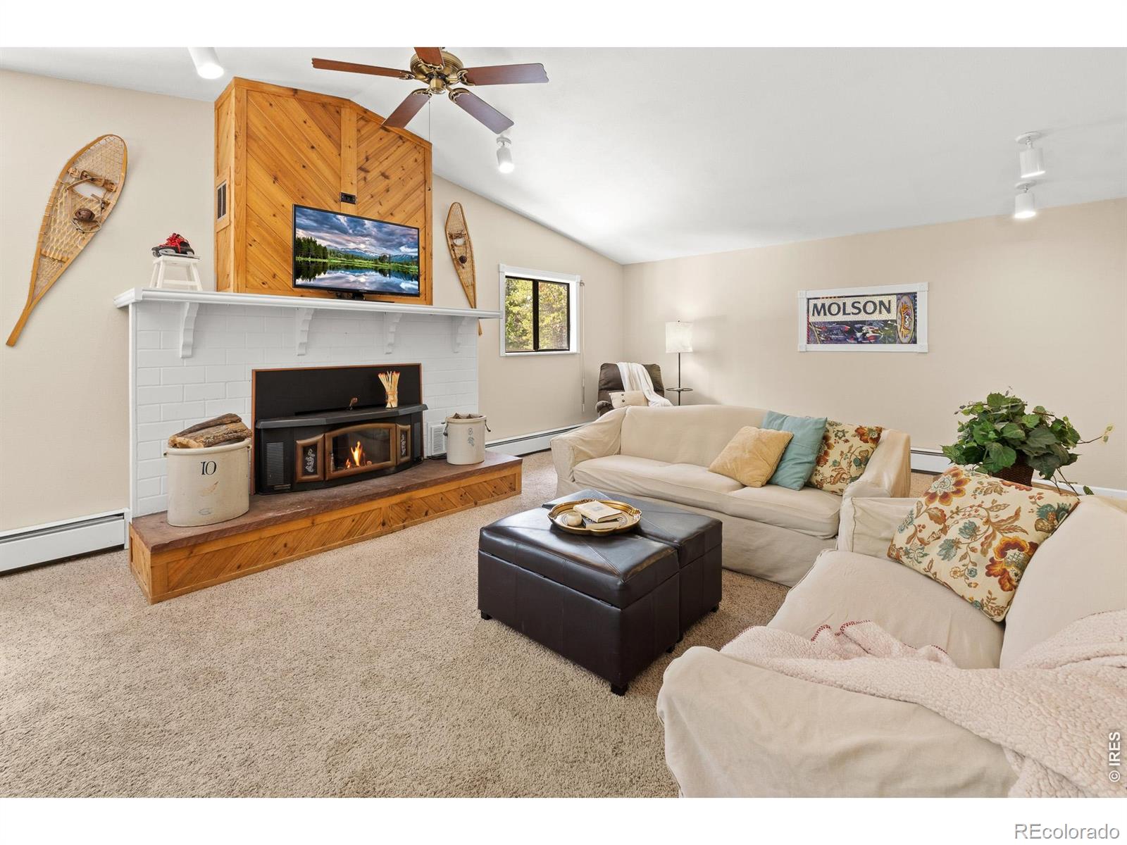 MLS Image #26 for 218  brook drive,idaho springs, Colorado