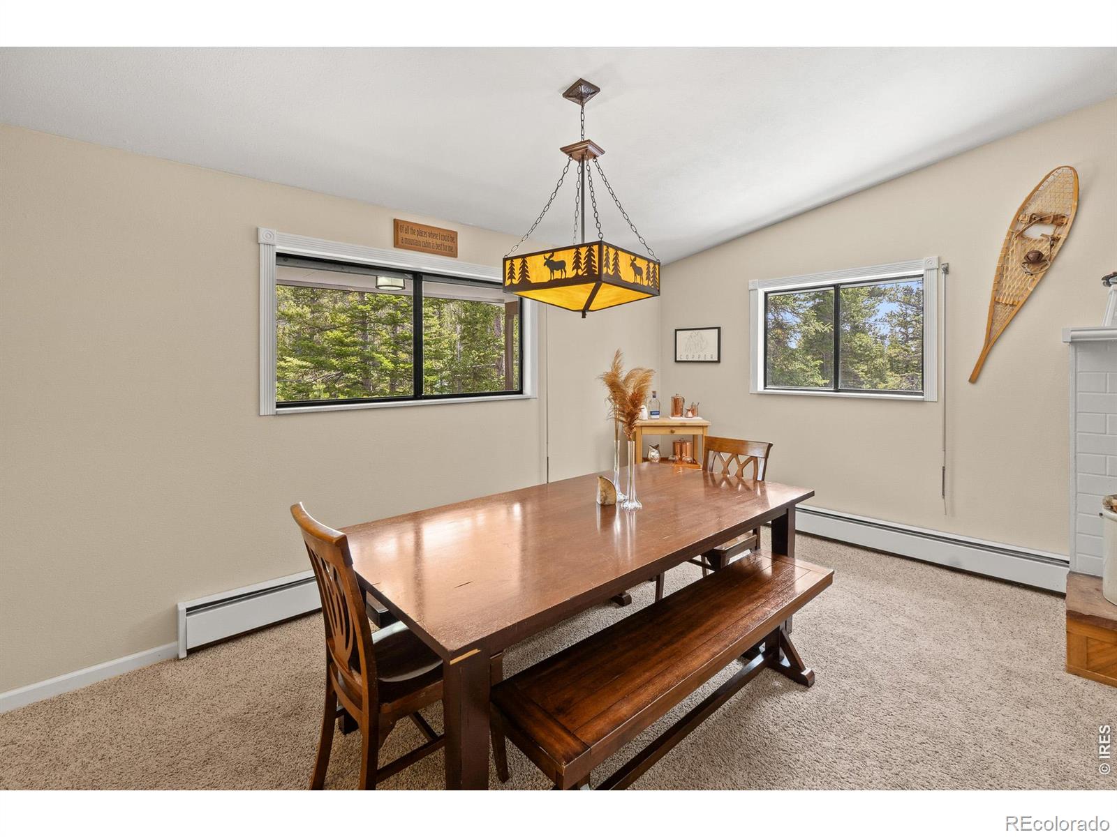 MLS Image #27 for 218  brook drive,idaho springs, Colorado