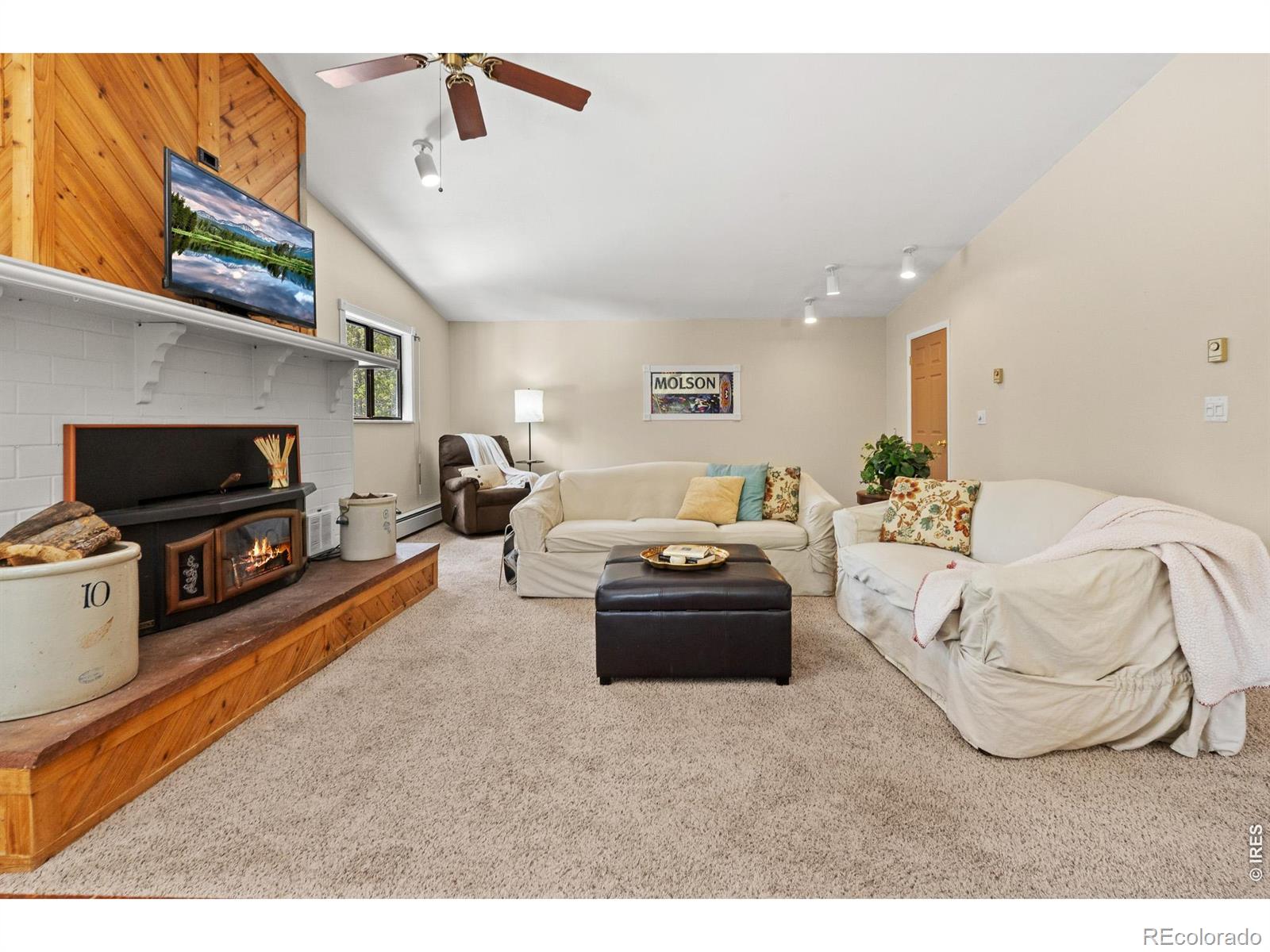 MLS Image #32 for 218  brook drive,idaho springs, Colorado