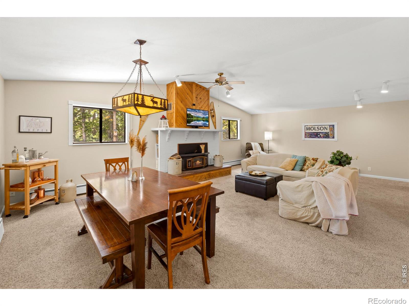 MLS Image #7 for 218  brook drive,idaho springs, Colorado