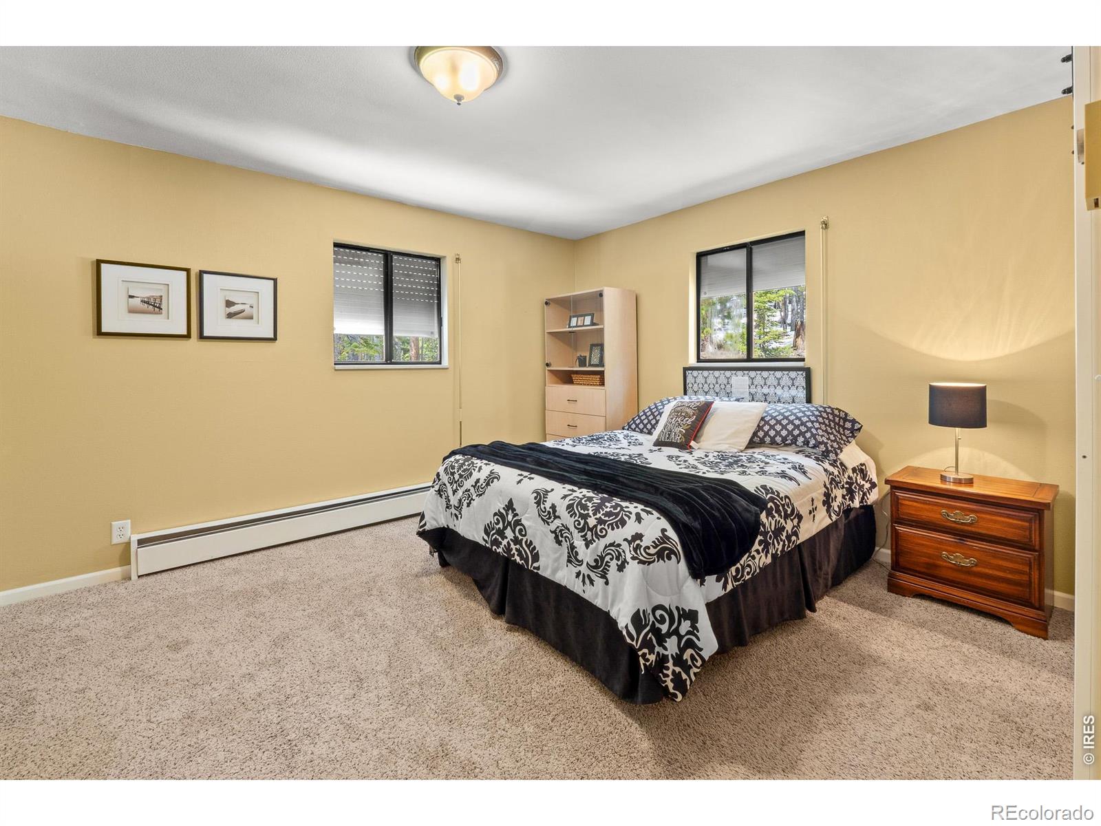 MLS Image #8 for 218  brook drive,idaho springs, Colorado