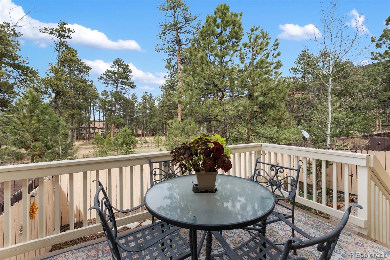 MLS Image #10 for 742  westwood trace,woodland park, Colorado