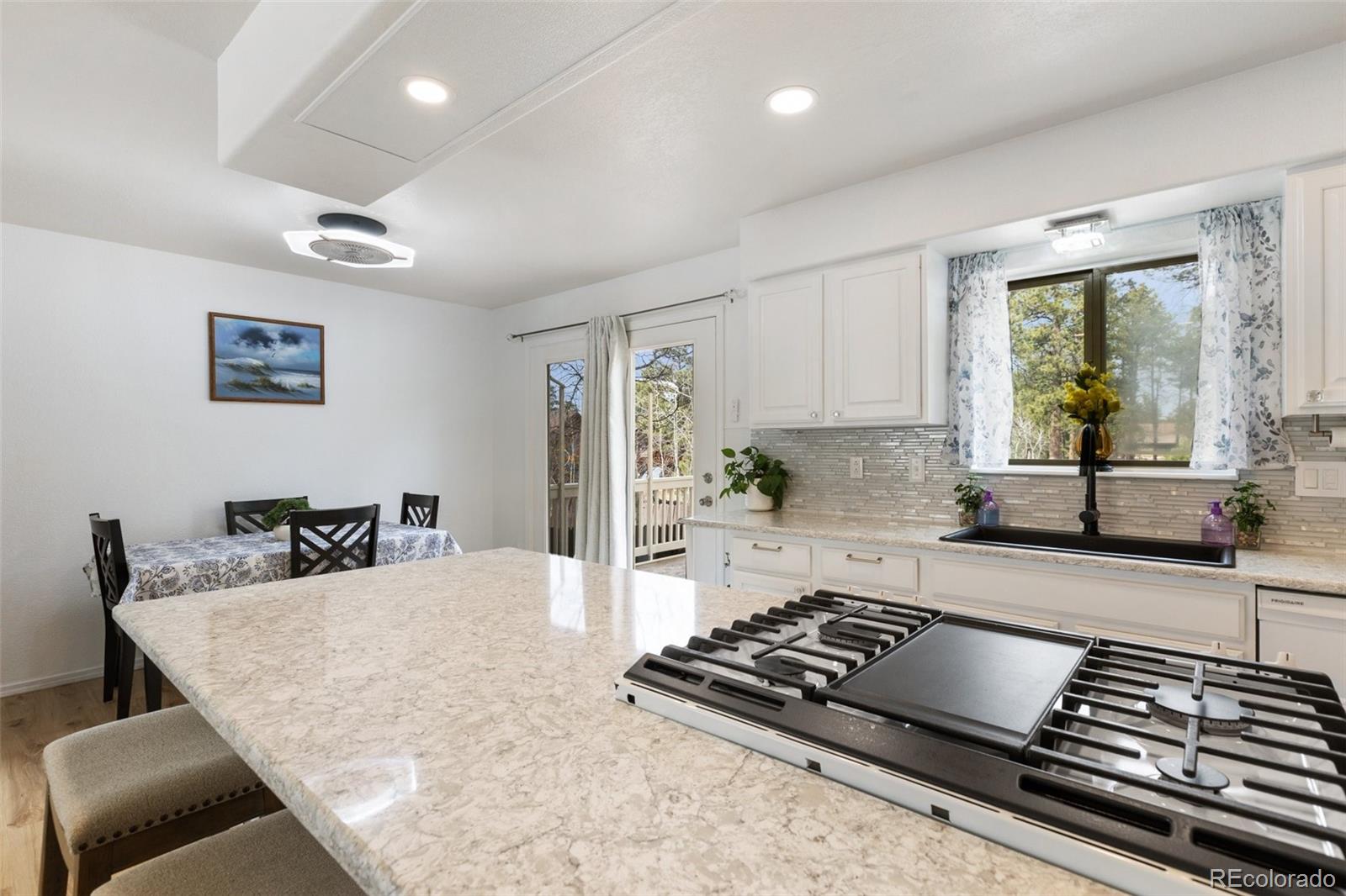 MLS Image #14 for 742  westwood trace,woodland park, Colorado