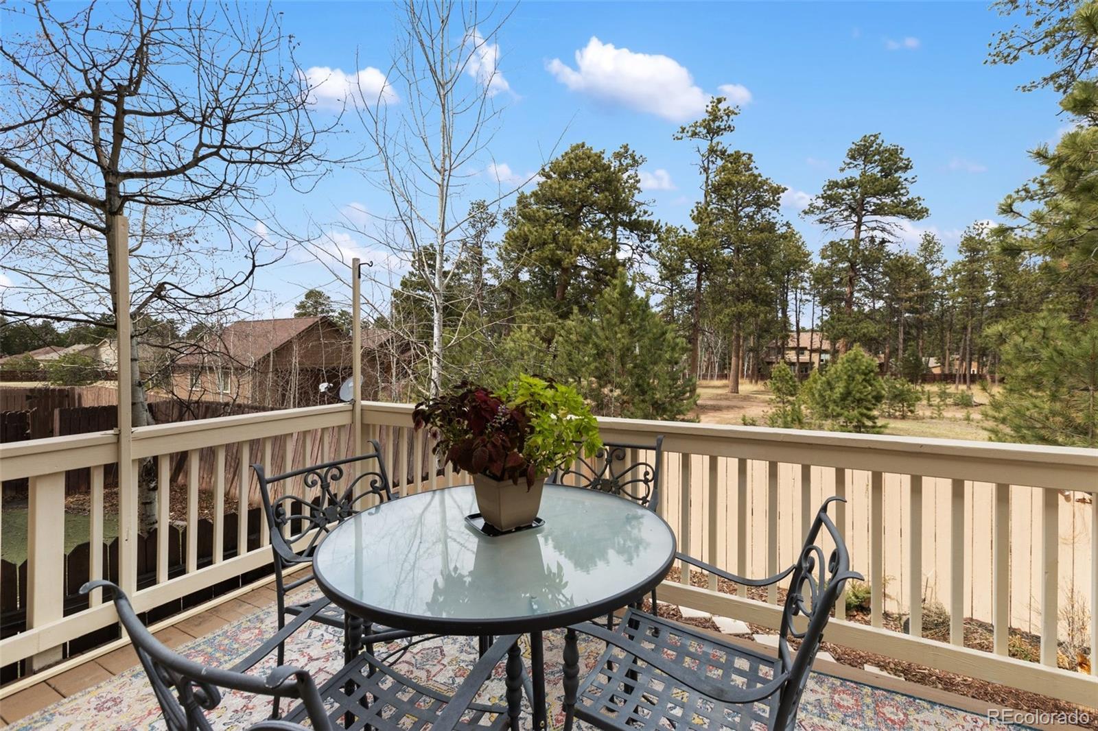 MLS Image #17 for 742  westwood trace,woodland park, Colorado