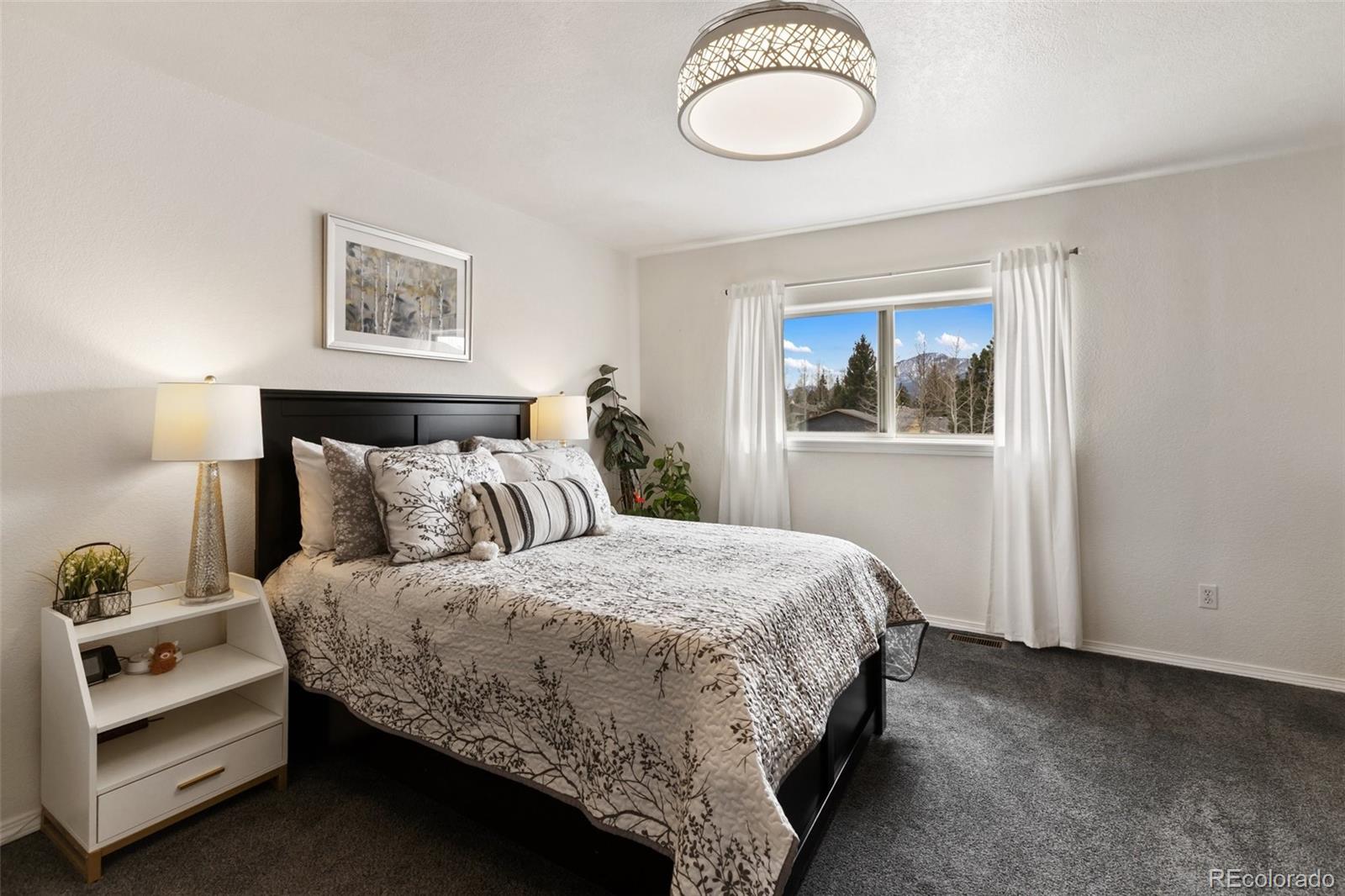 MLS Image #22 for 742  westwood trace,woodland park, Colorado