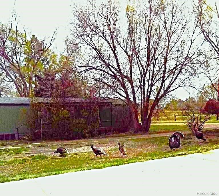 MLS Image #3 for 104  rock island avenue,ramah, Colorado