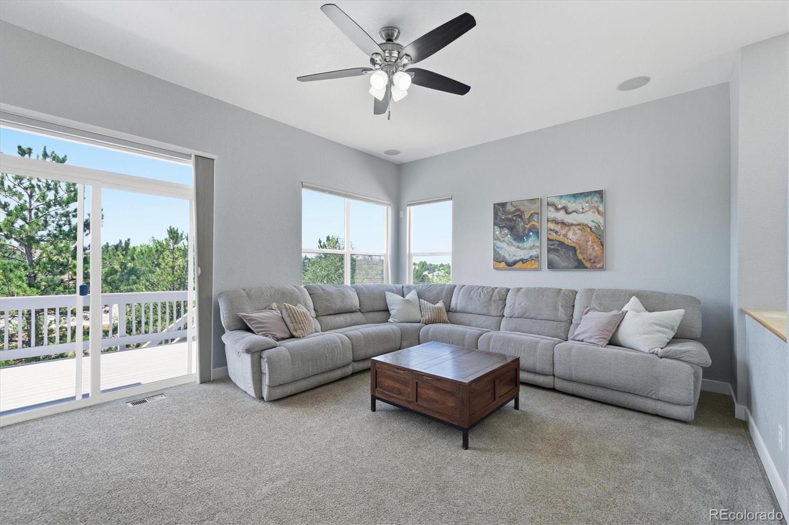 MLS Image #12 for 731  briar haven drive,castle pines, Colorado