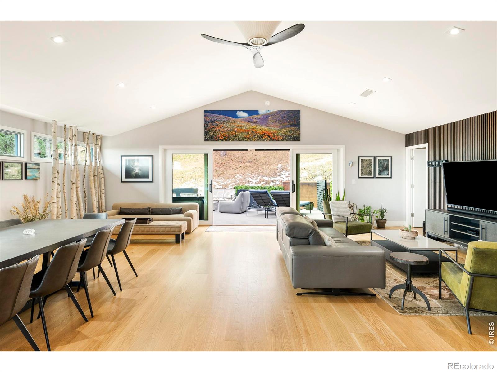 MLS Image #22 for 316  pine tree lane,boulder, Colorado