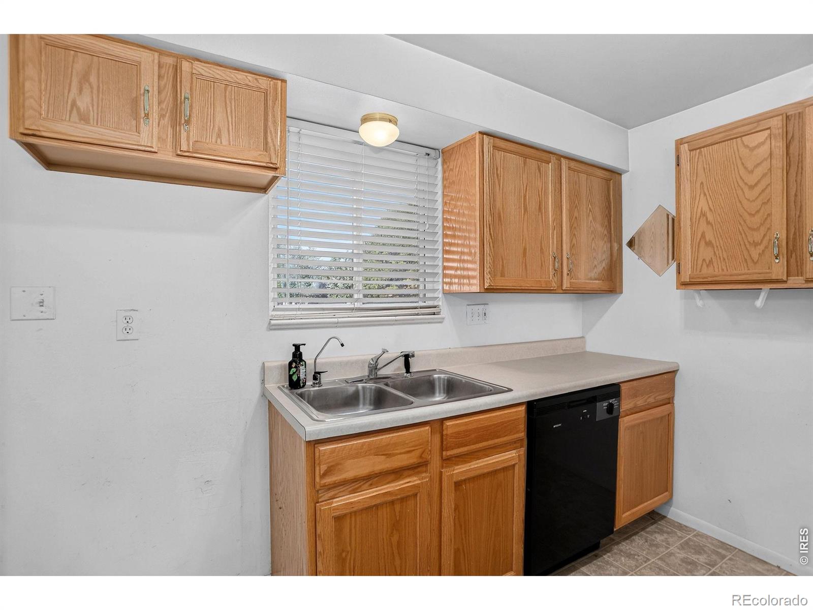 MLS Image #10 for 219  chestnut street,windsor, Colorado