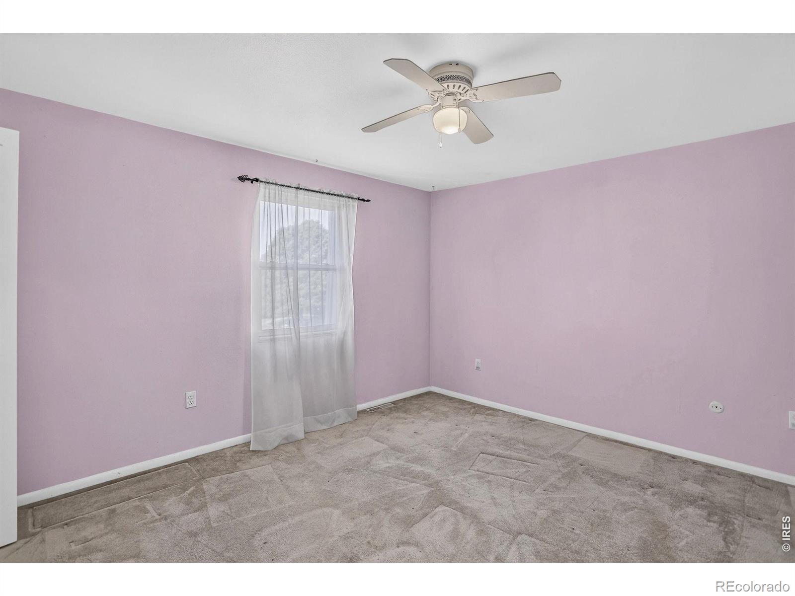 MLS Image #13 for 219  chestnut street,windsor, Colorado