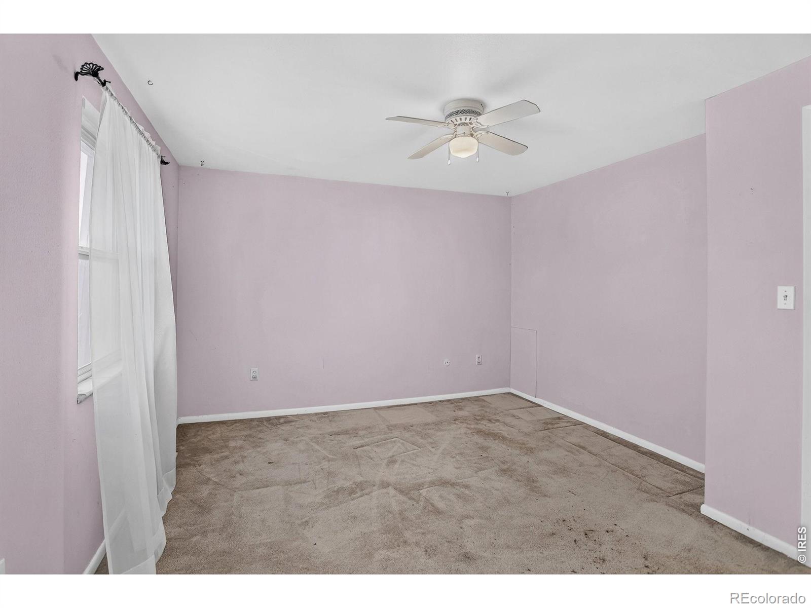 MLS Image #16 for 219  chestnut street,windsor, Colorado