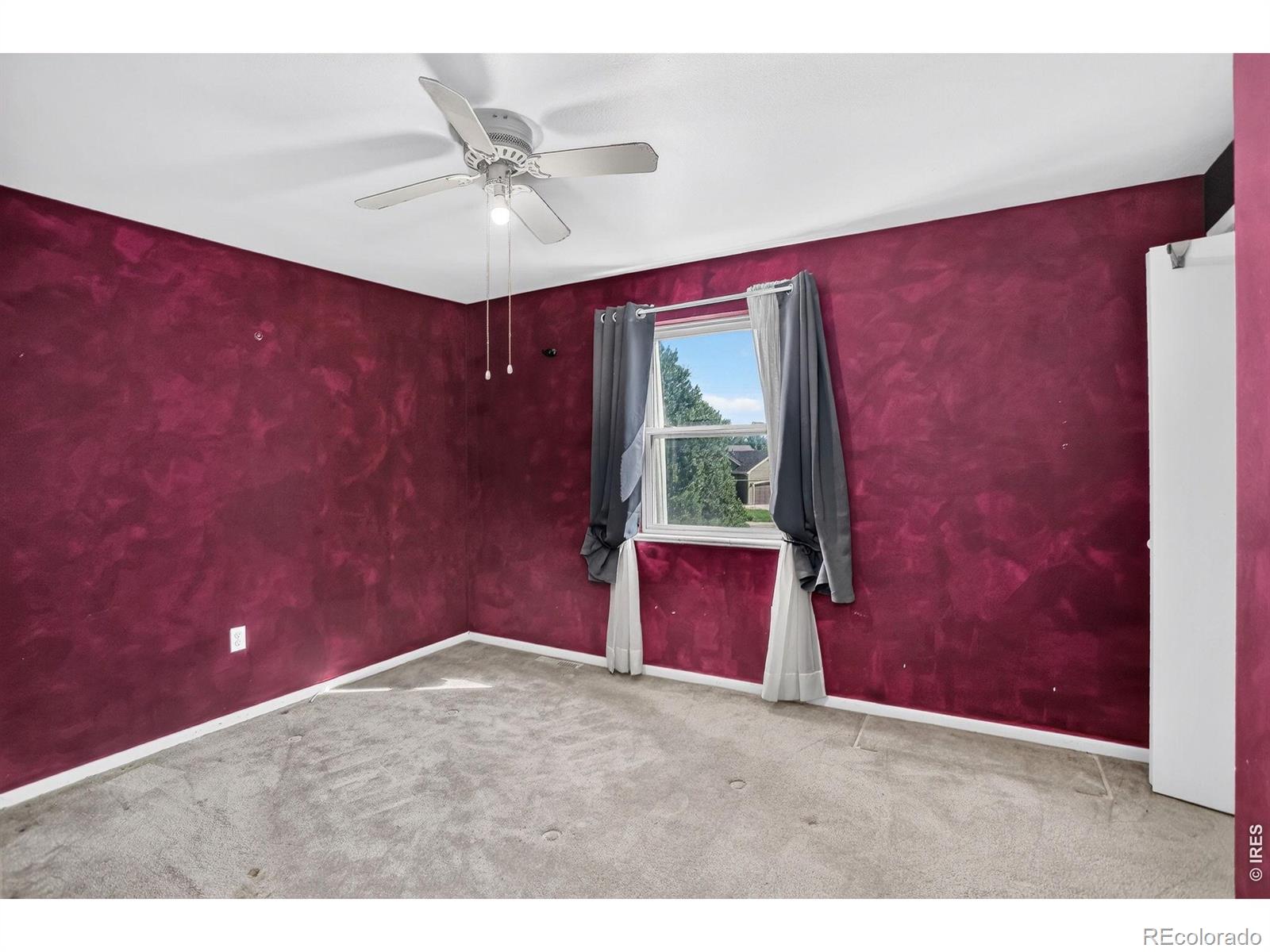 MLS Image #17 for 219  chestnut street,windsor, Colorado