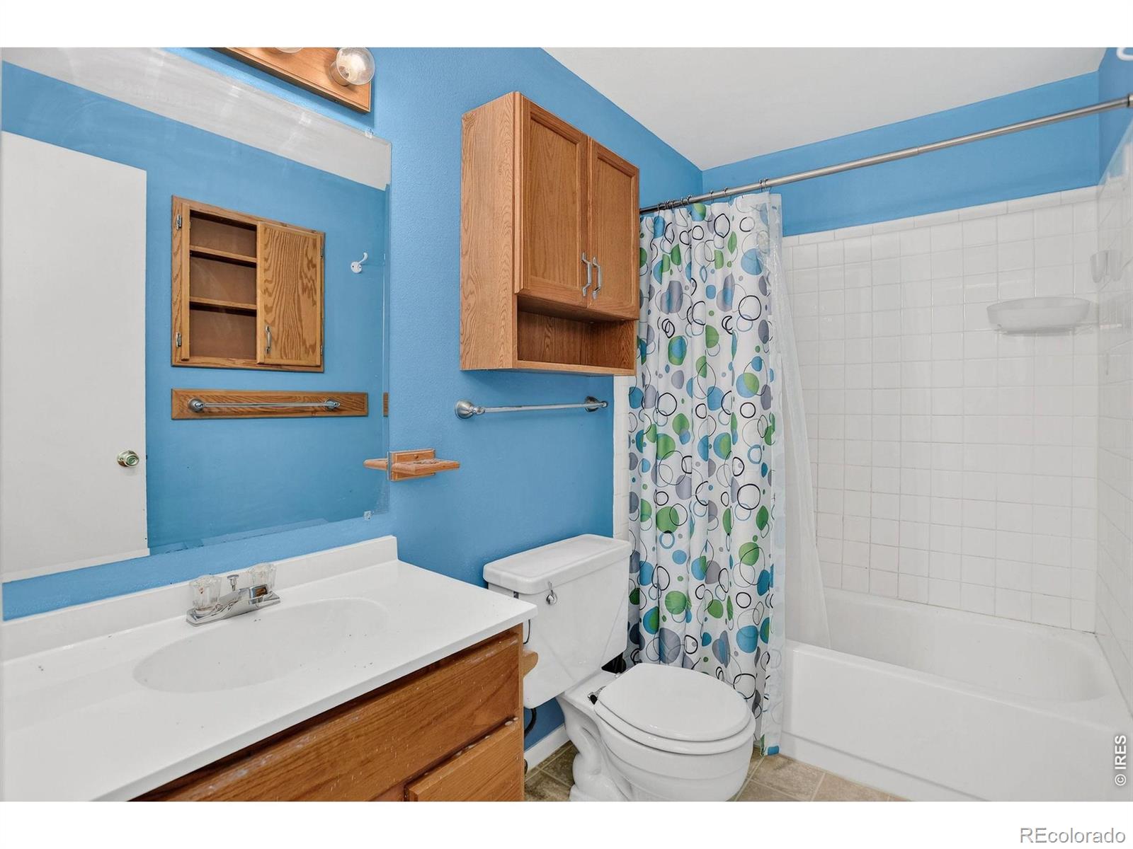MLS Image #22 for 219  chestnut street,windsor, Colorado