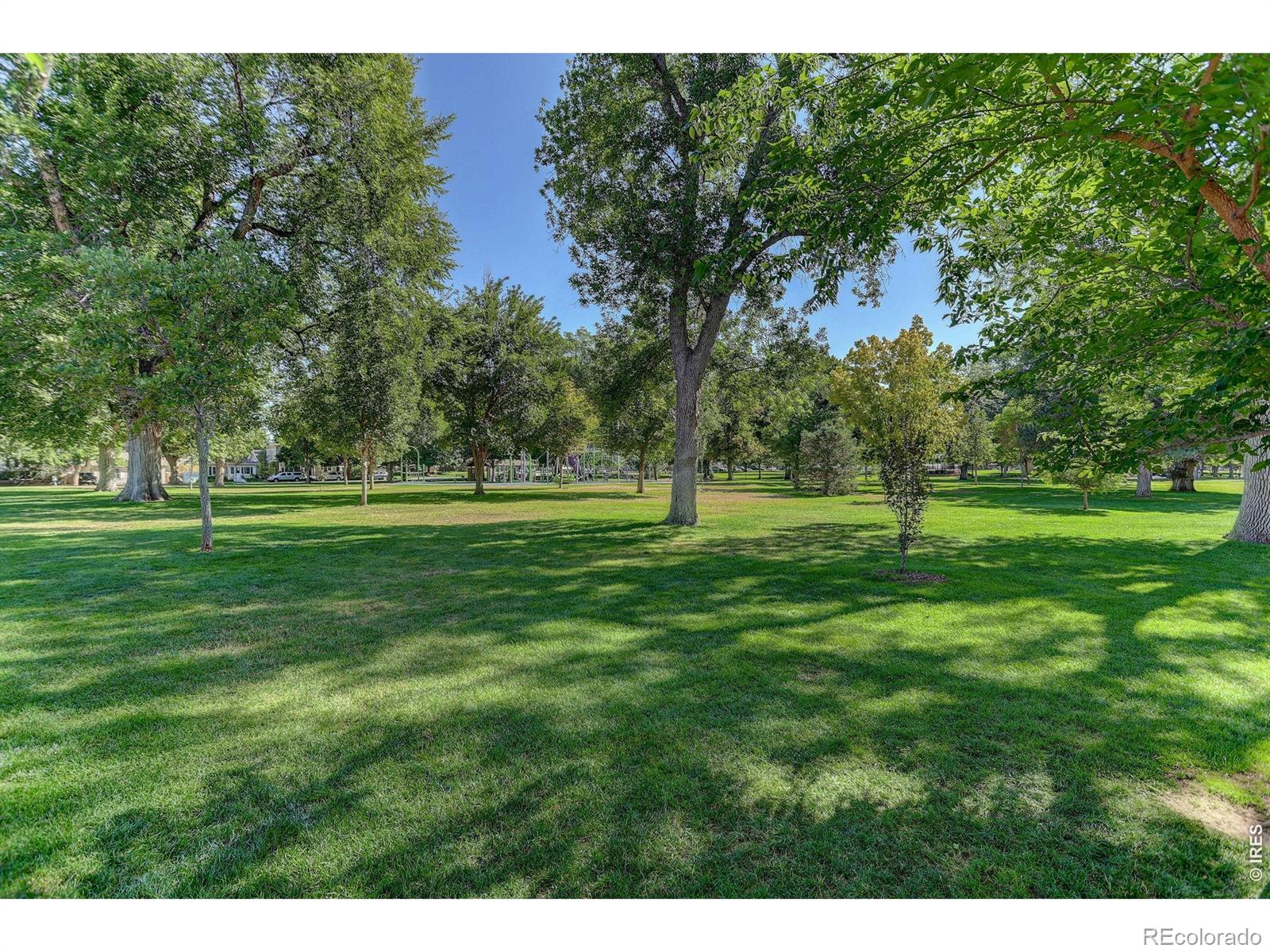 MLS Image #24 for 219  chestnut street,windsor, Colorado